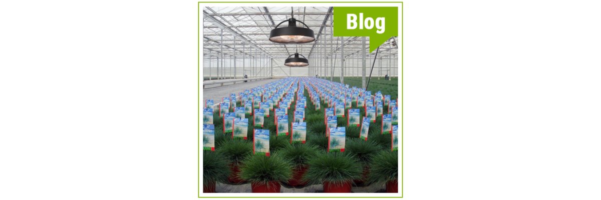 Why is a greenhouse heater useful and which variants are available?  - Does a greenhouse heater make sense?