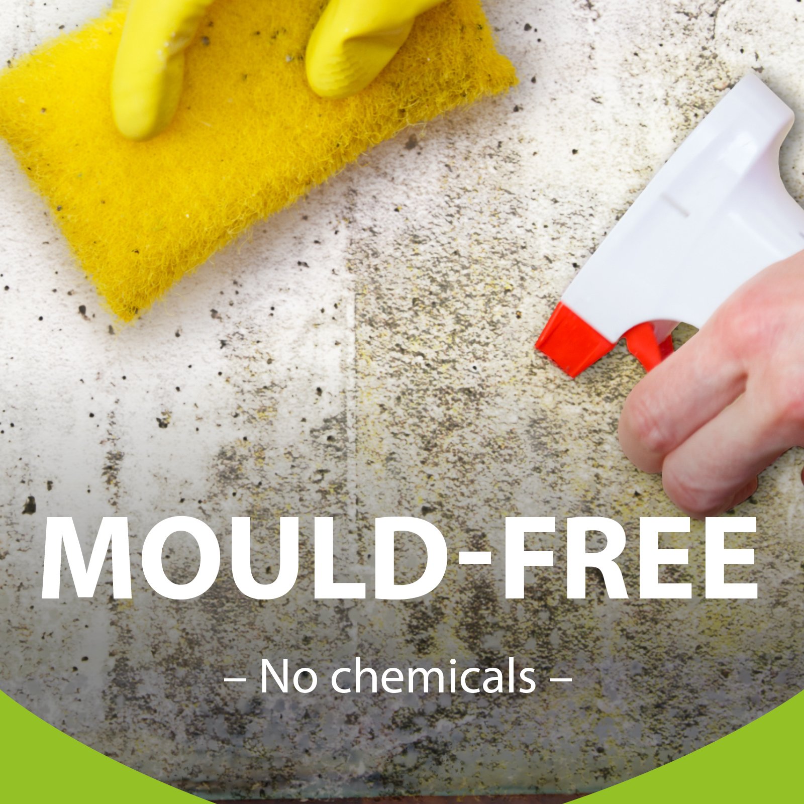 Mould: A threat to health and building structures
