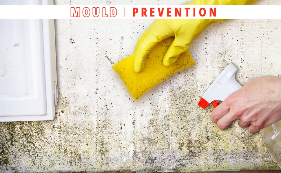 Effectively remove mould