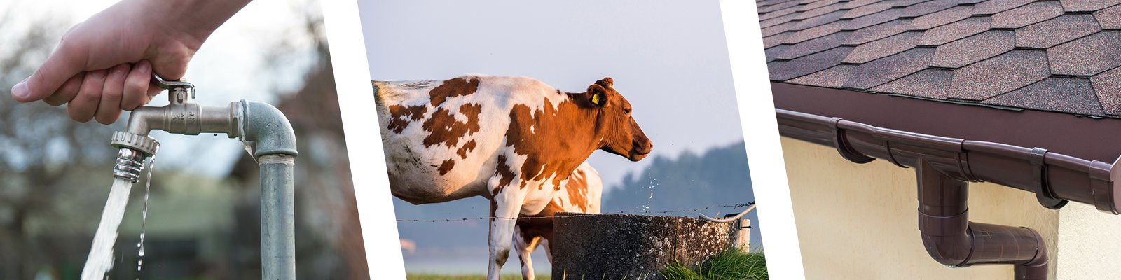 Welche Vorbereitungen für den Herbst sind sinnvoll?