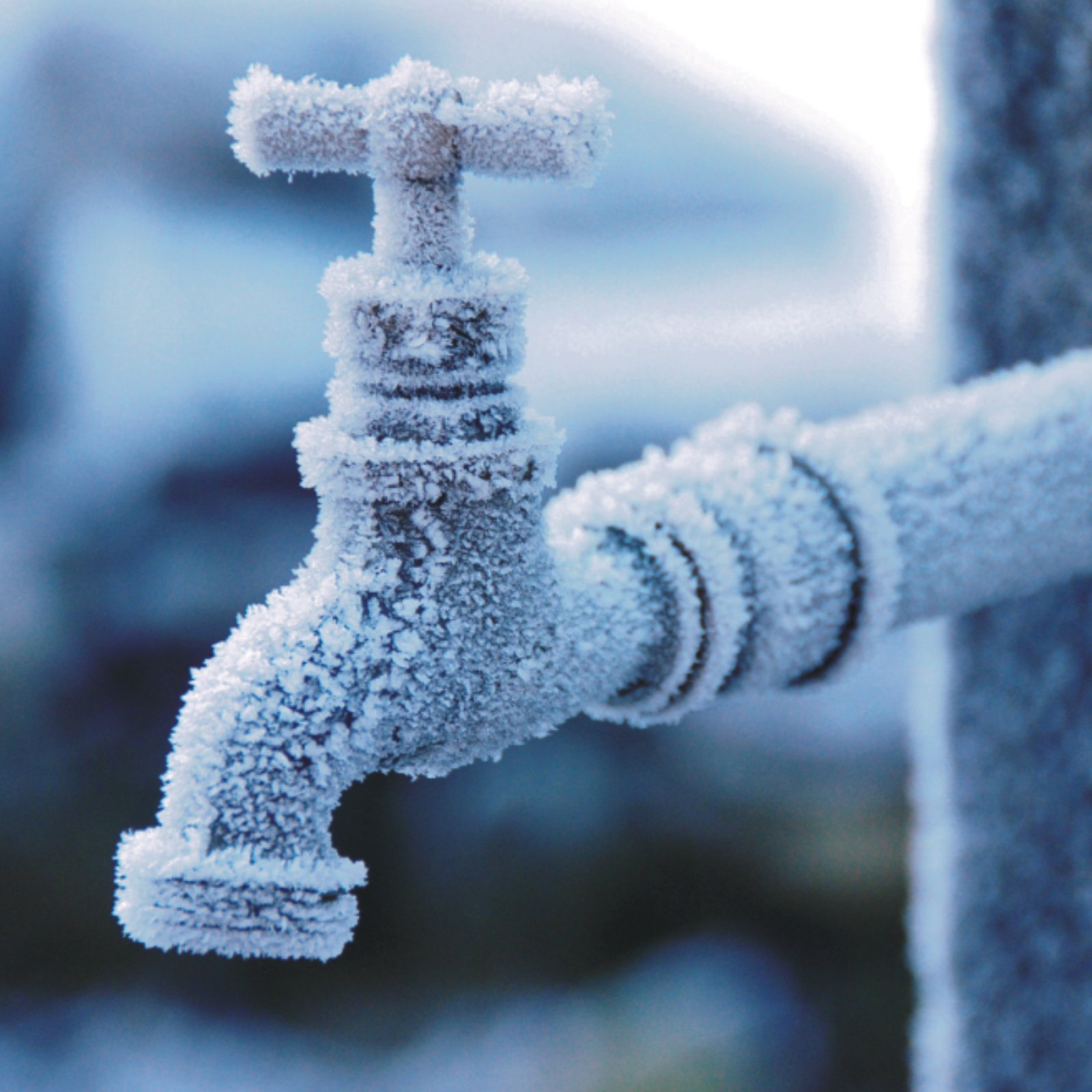 Water pipes and drainage pipes are particularly at risk in frosty conditions