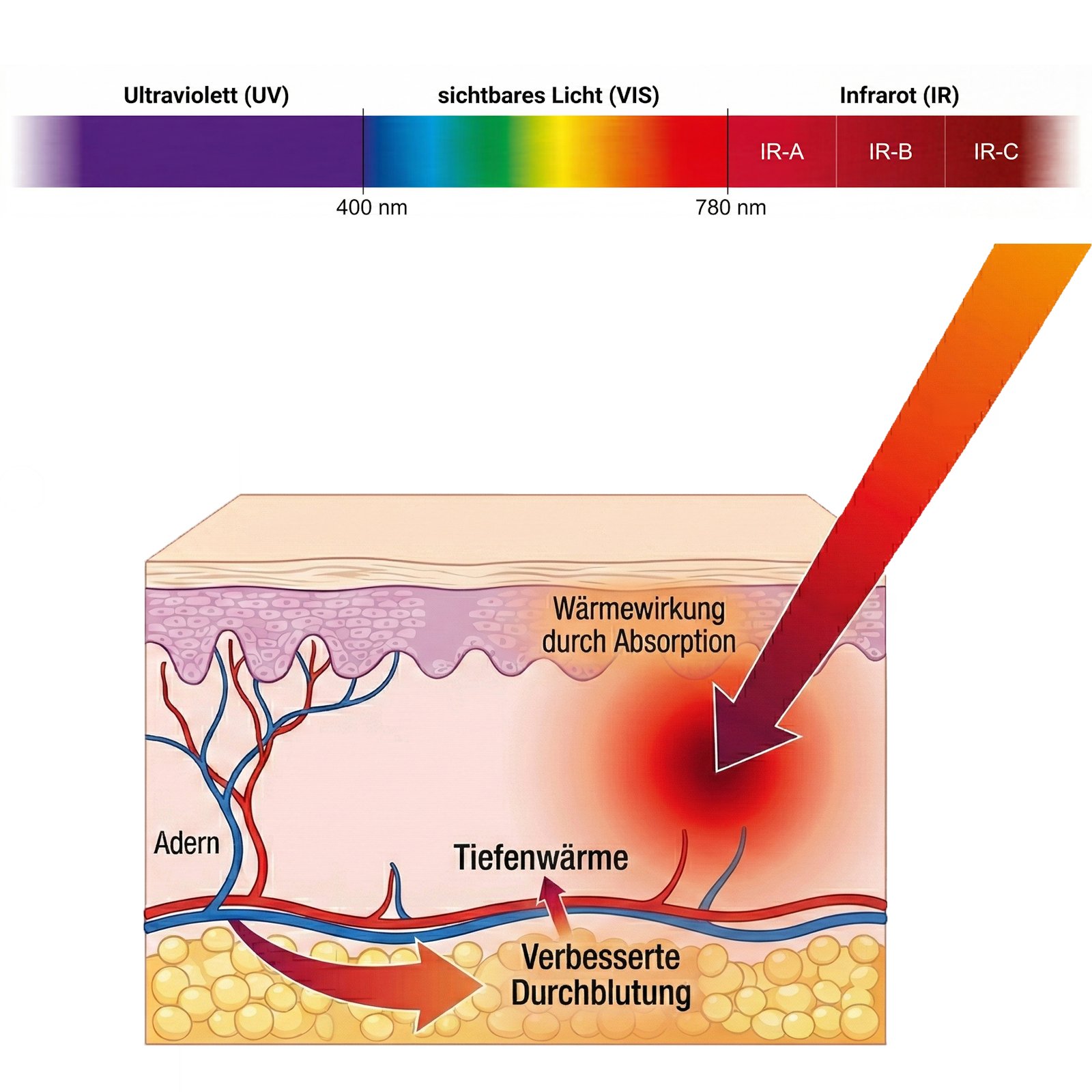 Farbspektrum UV / VIS / IR