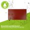 Silicone Heating Mat, self-adhesive, with integrated temperature limiter 46x27cm - 350 watts