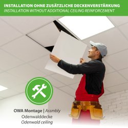 ECOSUN E 300 C 625/VT Infrarotheizung 300 Watt für...
